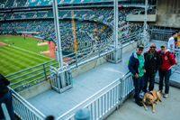 Valor Games 2014 Athletics game
